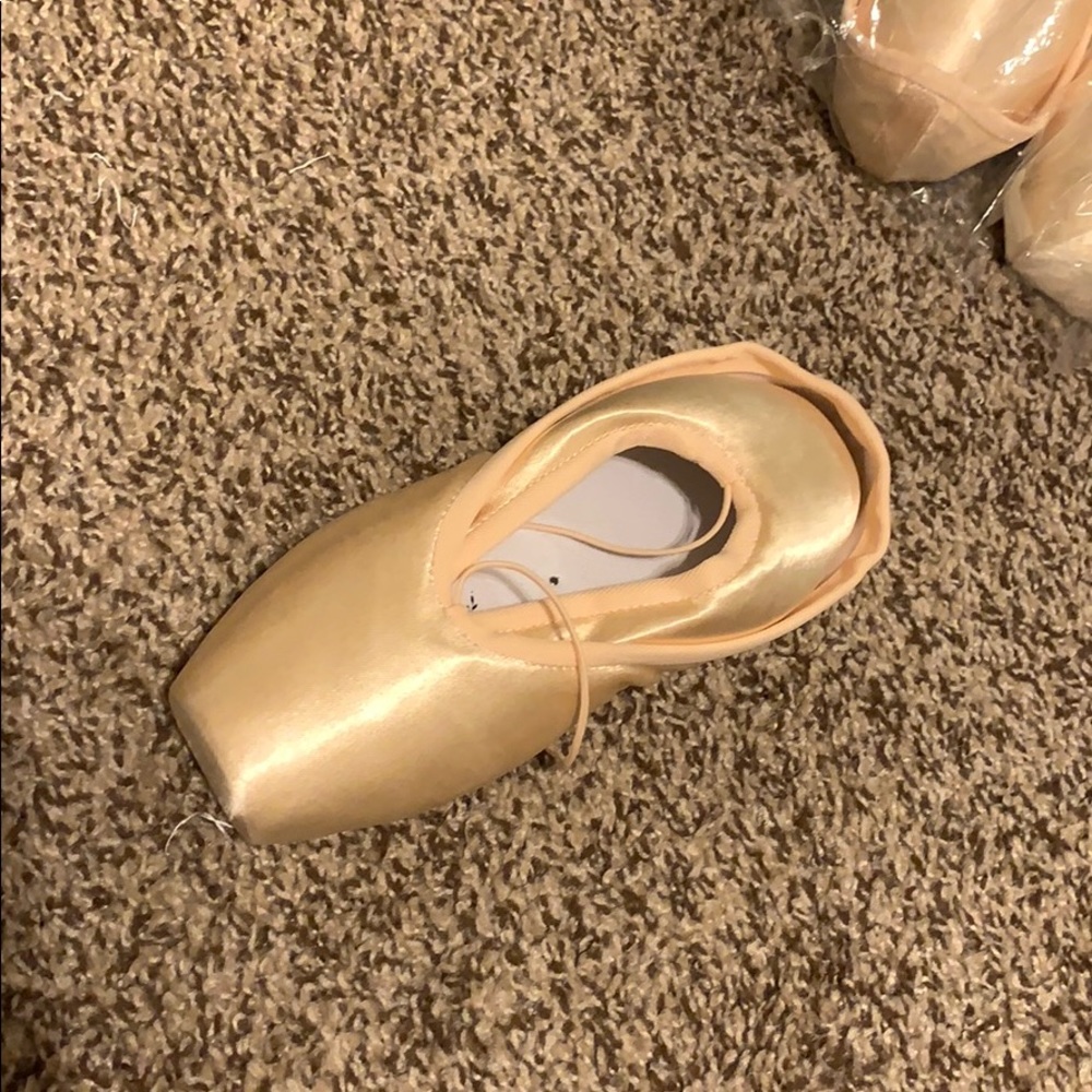 Virtisse Enigma pointe shoes